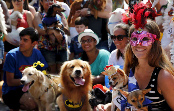 Carnival revellers and their dogs take part in the "Blocao" or dog carnival parade during carnival festivities in Rio de Janeiro, Brazil, February 6, 2016.