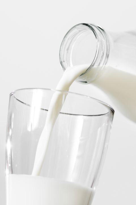 Protein rich foods weight loss