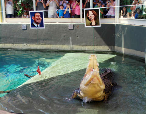 Dirty Harry the crocodile - ABC News Online, Jano Gibson/AP Photo In this Thursday, Aug. 19, 2010 photo, a saltwater crocodile named Dirty Harry snaps up a piece of chicken attached to a caricature of Australian Prim Minister Julia Gillard, right, while turning down the morsel attached to the image of opposition leader, Tony Abbott, in Darwin, Australia.