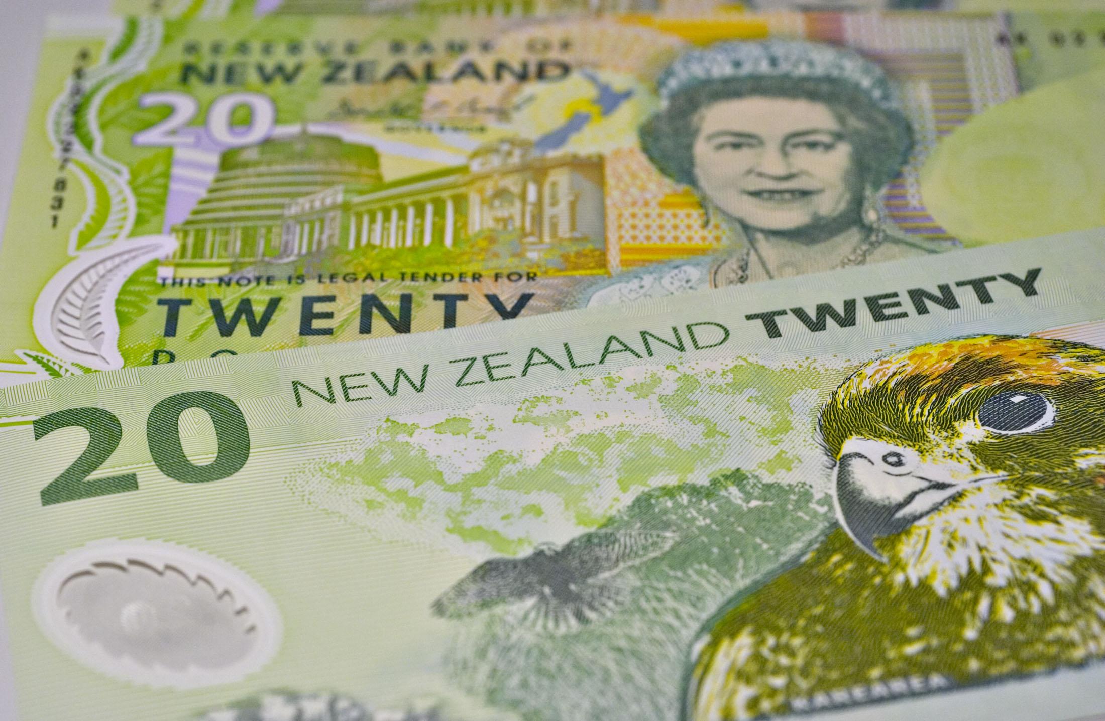 Kiwi climbs pound, greenback