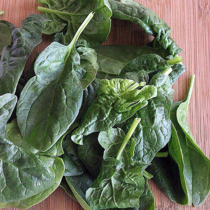 Meet powerhouse leafy green Sorrel