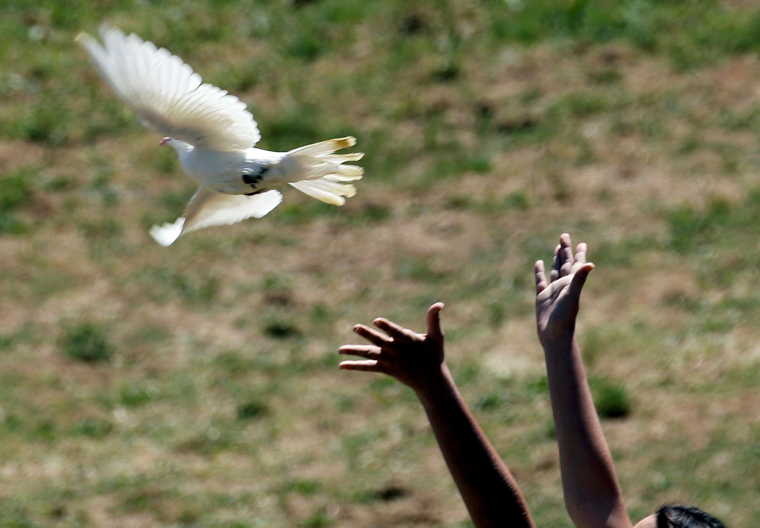 A priestess releases a dove at the site of ancient Olympia.