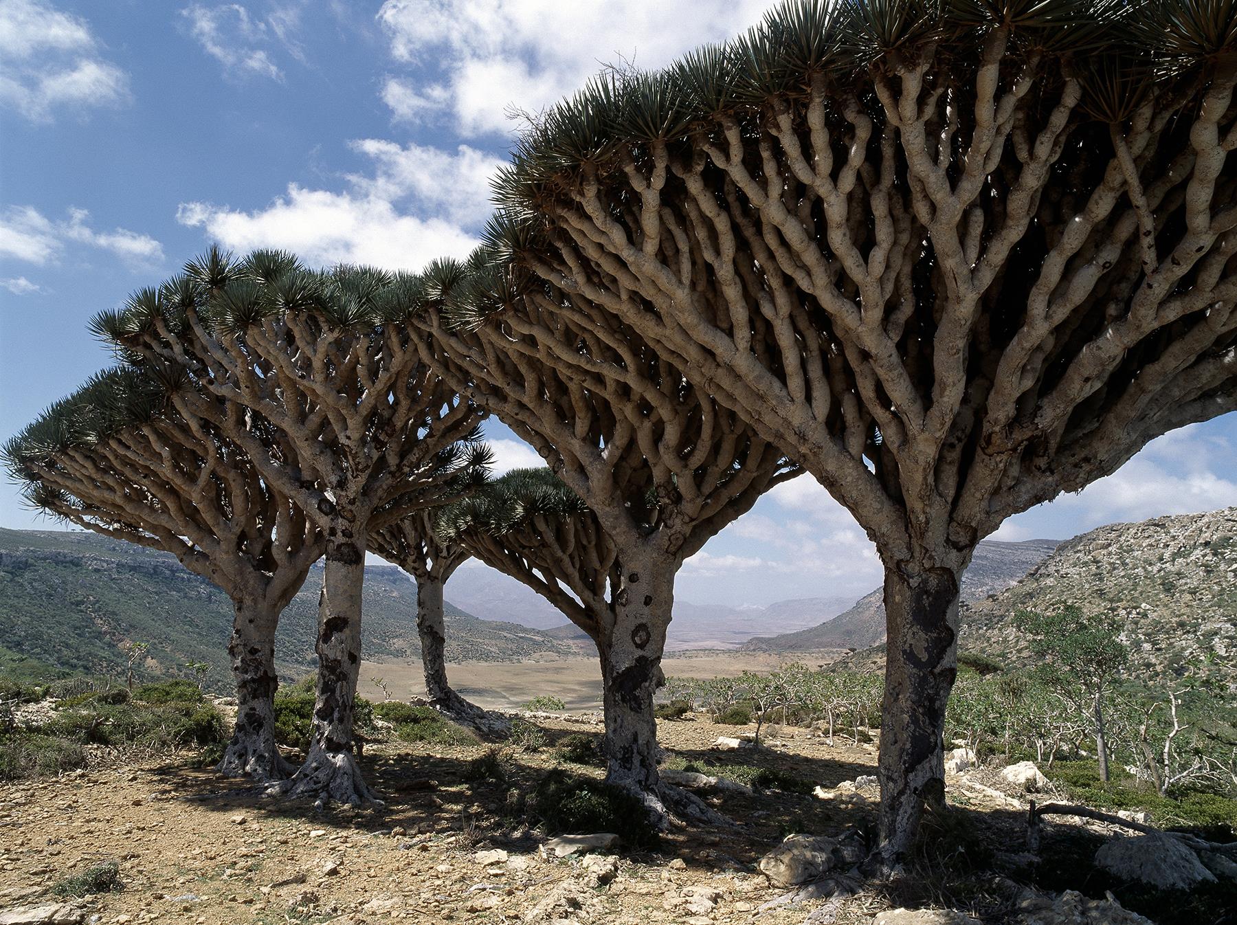 name these world heritage sites?