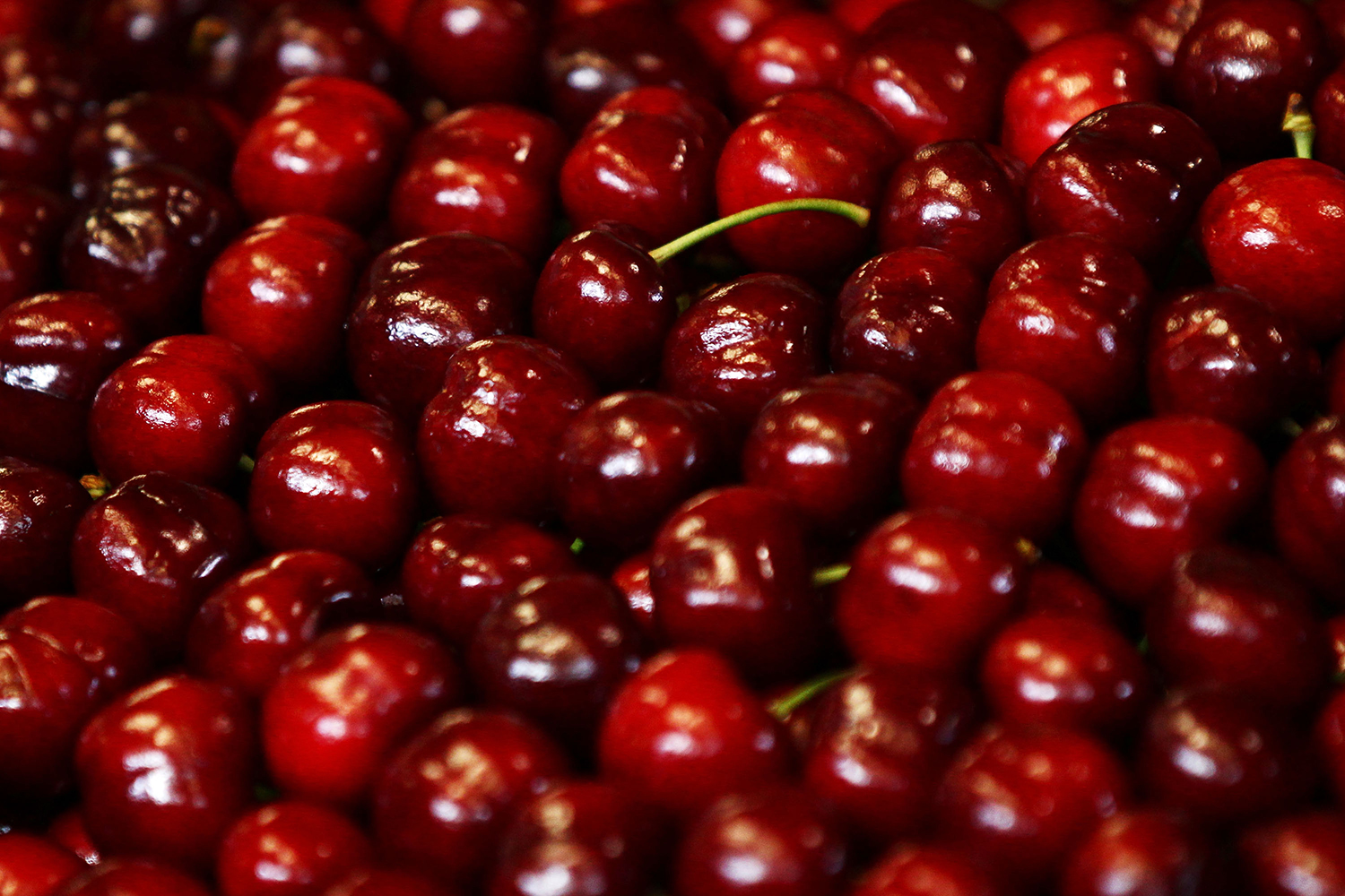 reasons eating cherries scientifically good