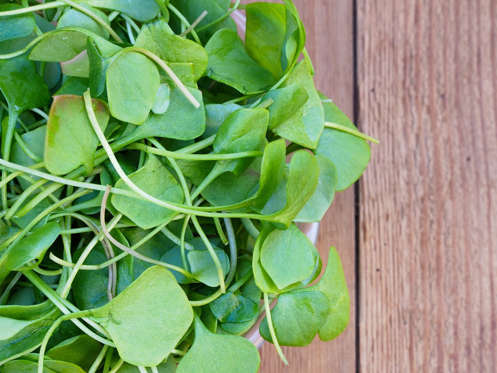 <p>A study published in the journal Diabetes Care discovered that those who ate more green, leafy vegetables in addition to fruit were less likely to develop type 2 diabetes. Although the study only followed women, there’s a good chance men could benefit, too! (Plus, nothing bad has ever come of eating more veggies!) Why do we suggest watercress above all other greens? It has far more nutrients than other greens and has also been shown to fight off cancer. Results from an eight-week trial published in the American Journal of Clinical Nutrition suggest daily supplementation of 85 grams of raw watercress (that’s about two cups) could reduce DMA damage linked to cancer by 17 percent. Exposure to heat may inactivate PEITC, so it’s best to enjoy watercress raw in salads, cold-pressed juices, and sandwiches. Whatever you do, though, don’t pair it with any of these 9 Foods Most Likely to Cause Cancer! </p>