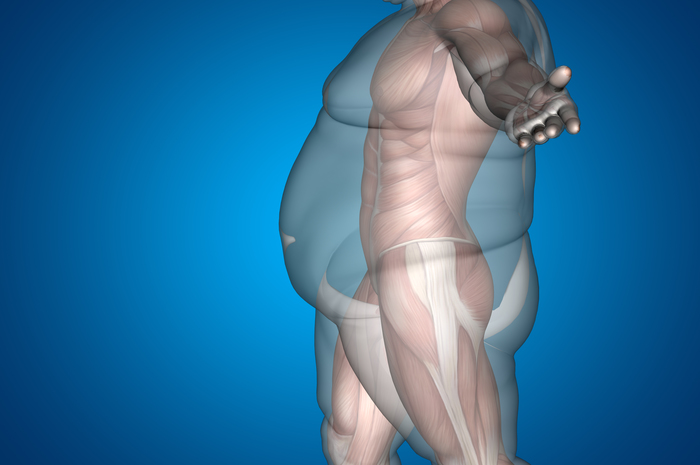 much know about obesity?