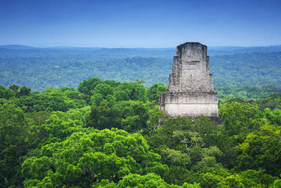 View of one of the various temples on the archeological site of Tikal and the jungle from a top of a of the structures allowed to the public to climb. Roberto A Sanchez