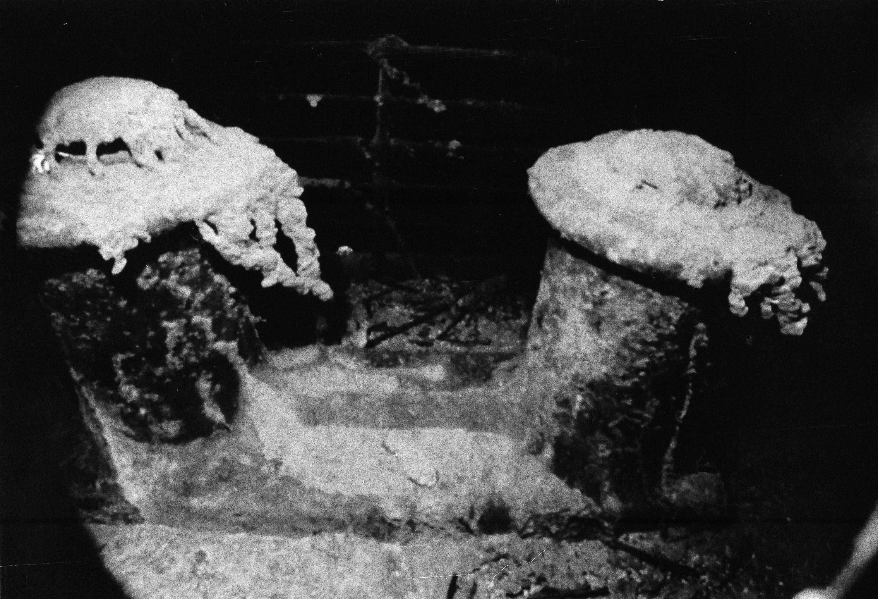Two bollards, used to secure mooring lines, and a railing on the star board side of the Luxury liner Titanic's bow, can be seen in the photograph released in Washington Wednesday, July 30, 1986. Remotely operated cameras deployed from a manned submersibl
