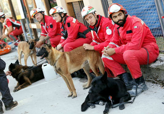 Rescue workers take a rest in Amatrice.