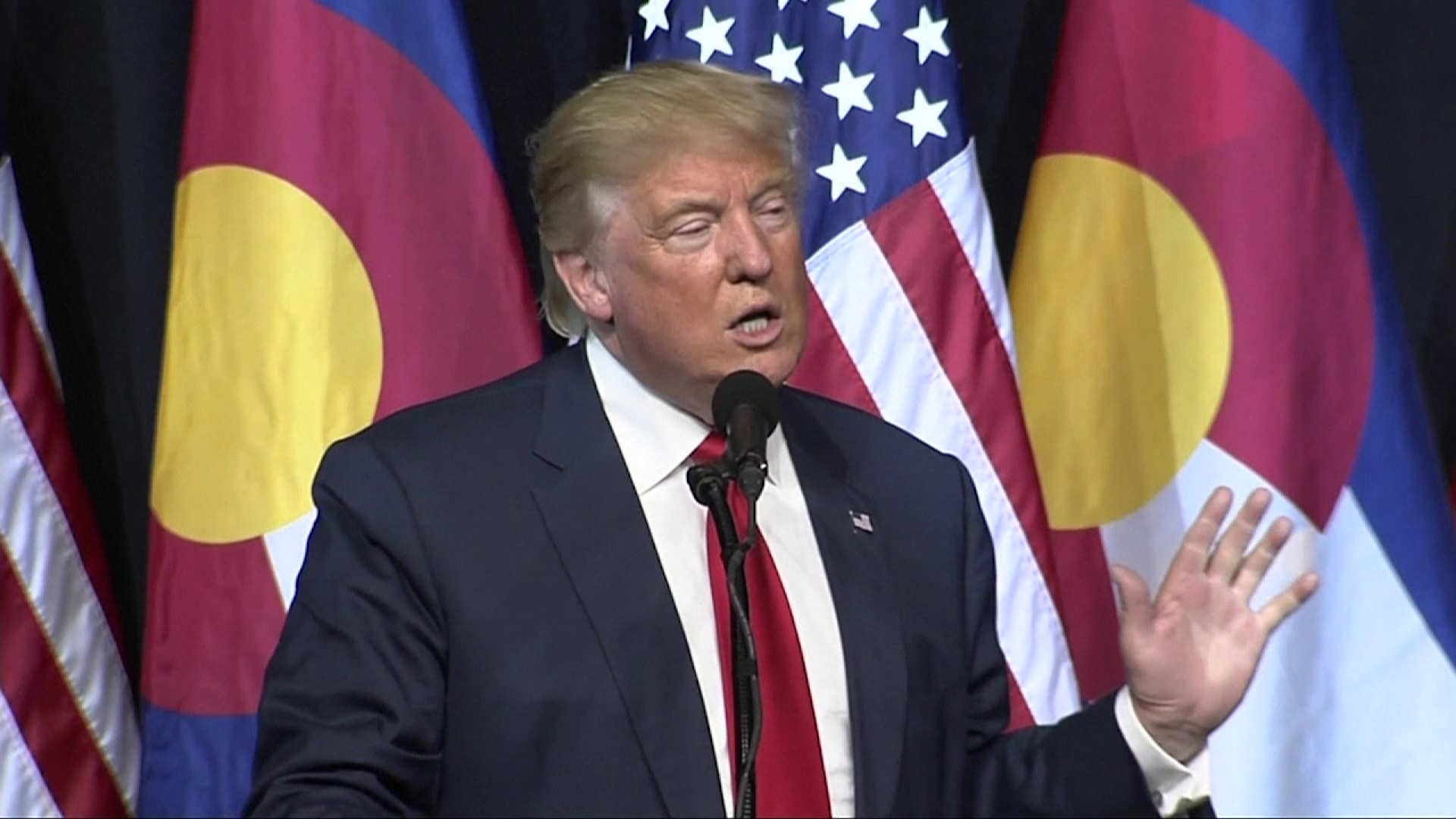 Trump takes down fight video