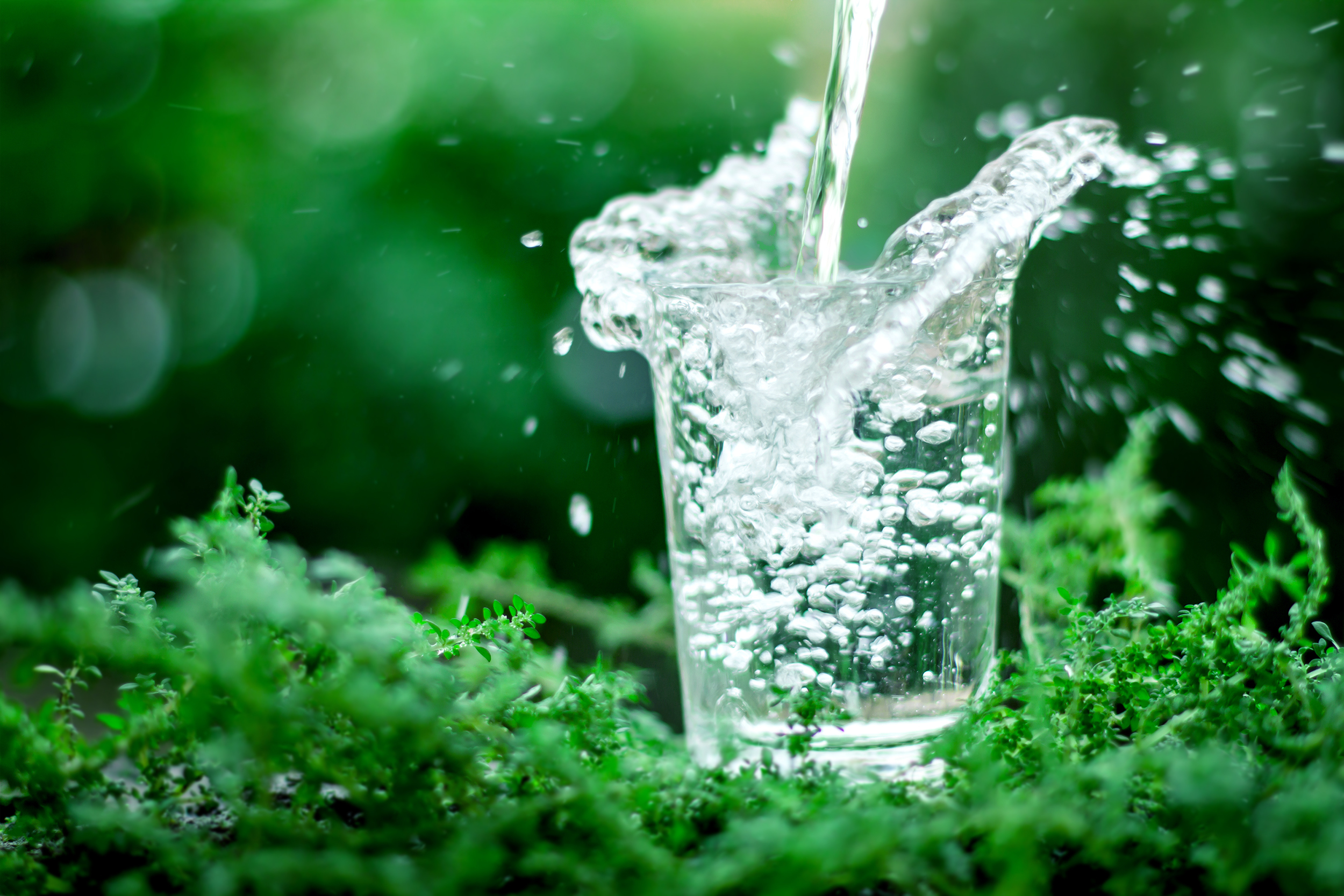 will never drink liters water