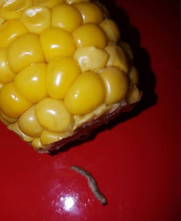 BBxIjLK.img