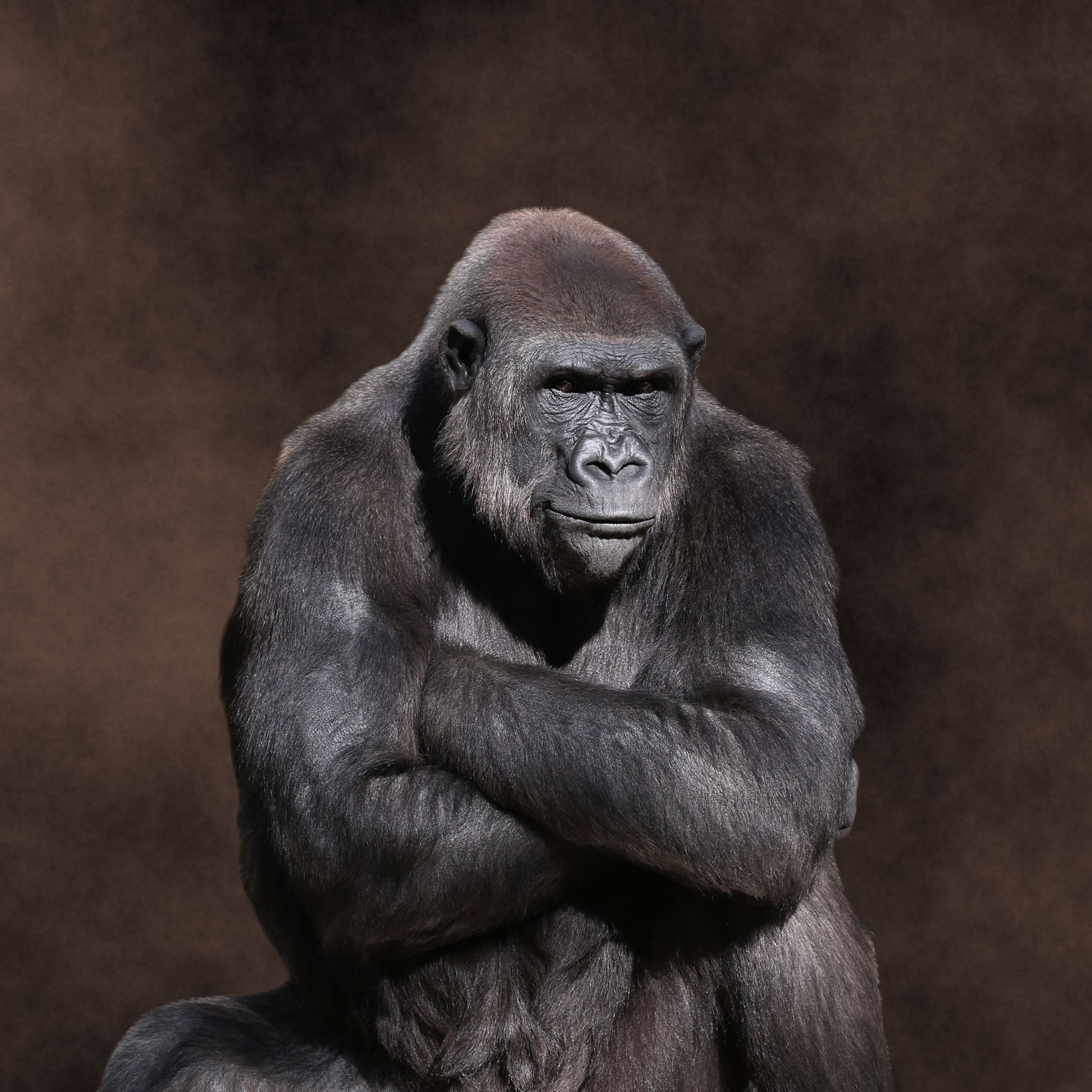 Grumpiest animals planet