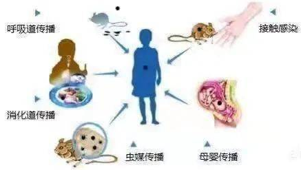 网络图片