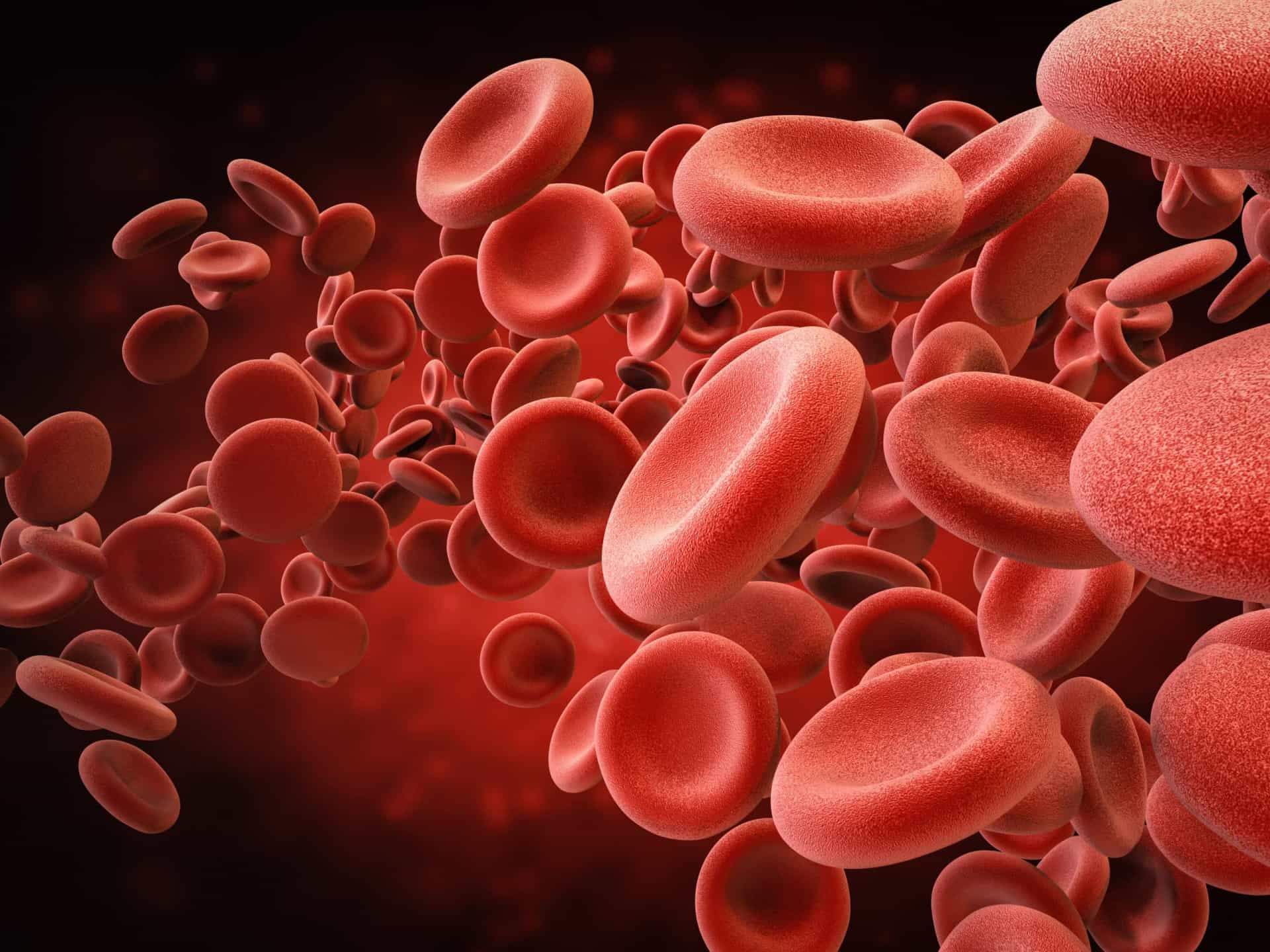 <p>Il sangue è composto per circa il 90% da acqua e la disidratazione può causare l'ispessimento del sangue, che a sua volta comporta un aumento della pressione sanguigna.</p>