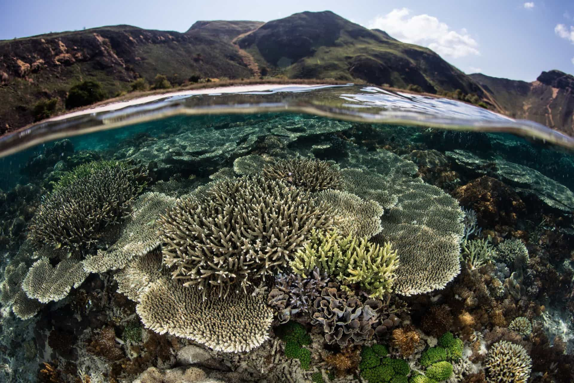 The world's best snorkeling destinations