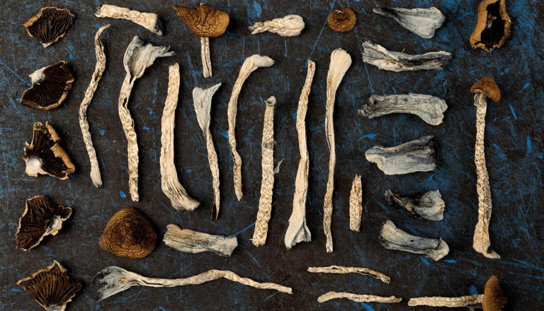 psilocibina cybin depresión hongos mágicos
