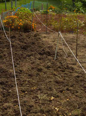 Improve your garden with soil amendments like compost before adding fertilizer.