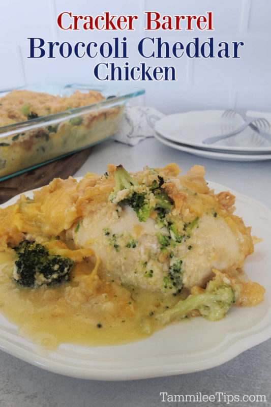 Copycat Cracker Barrel Broccoli Cheddar Chicken Recipe
