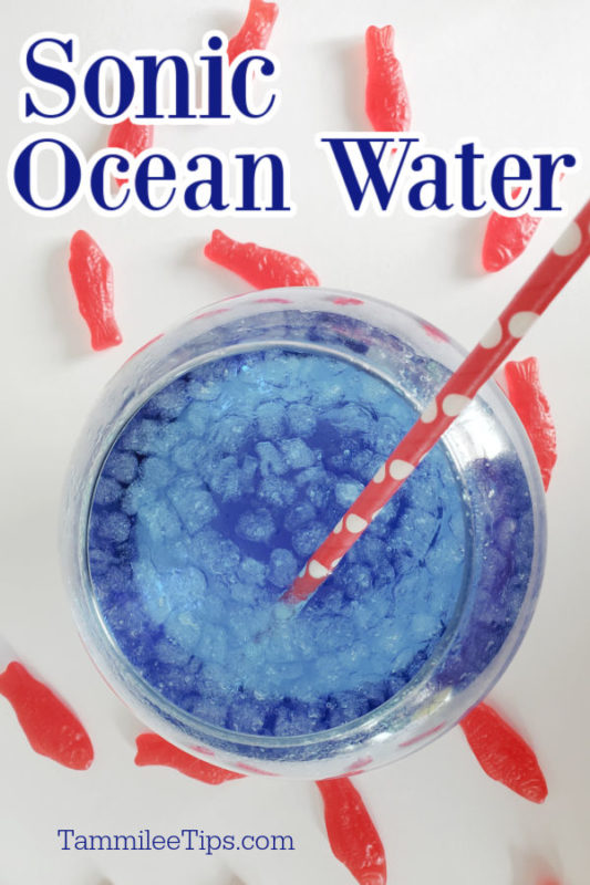 Easy Sonic Ocean Water Recipe