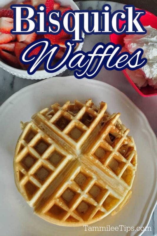 Best Bisquick Waffle Recipe