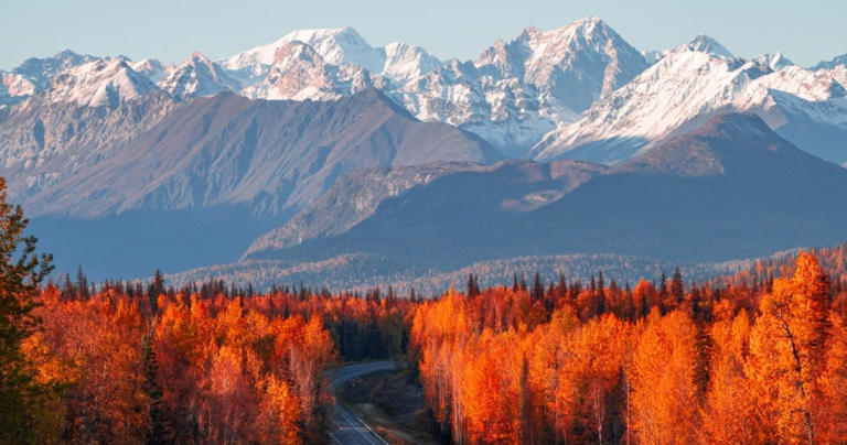 10 Best Road Trips You Can Take Through The Scenic State Of Alaska