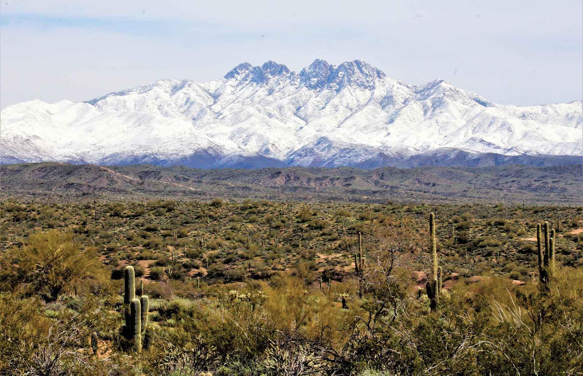 <p>Brush and pine-covered hillsides lead up to Four Peaks Mountain, part of the Mazatzal Mountains range in south-central Arizona. The vegetation ranges from desert shrub at lower altitudes up to grassland, with the evergreen manzanita shrub and shrub live oak at higher levels.</p>  <p><a href="https://www.loveexploring.com/galleries/132992/americas-most-beautiful-wildernesses?page=1"><strong>Discover America's most beautiful wildernesses</strong></a></p>