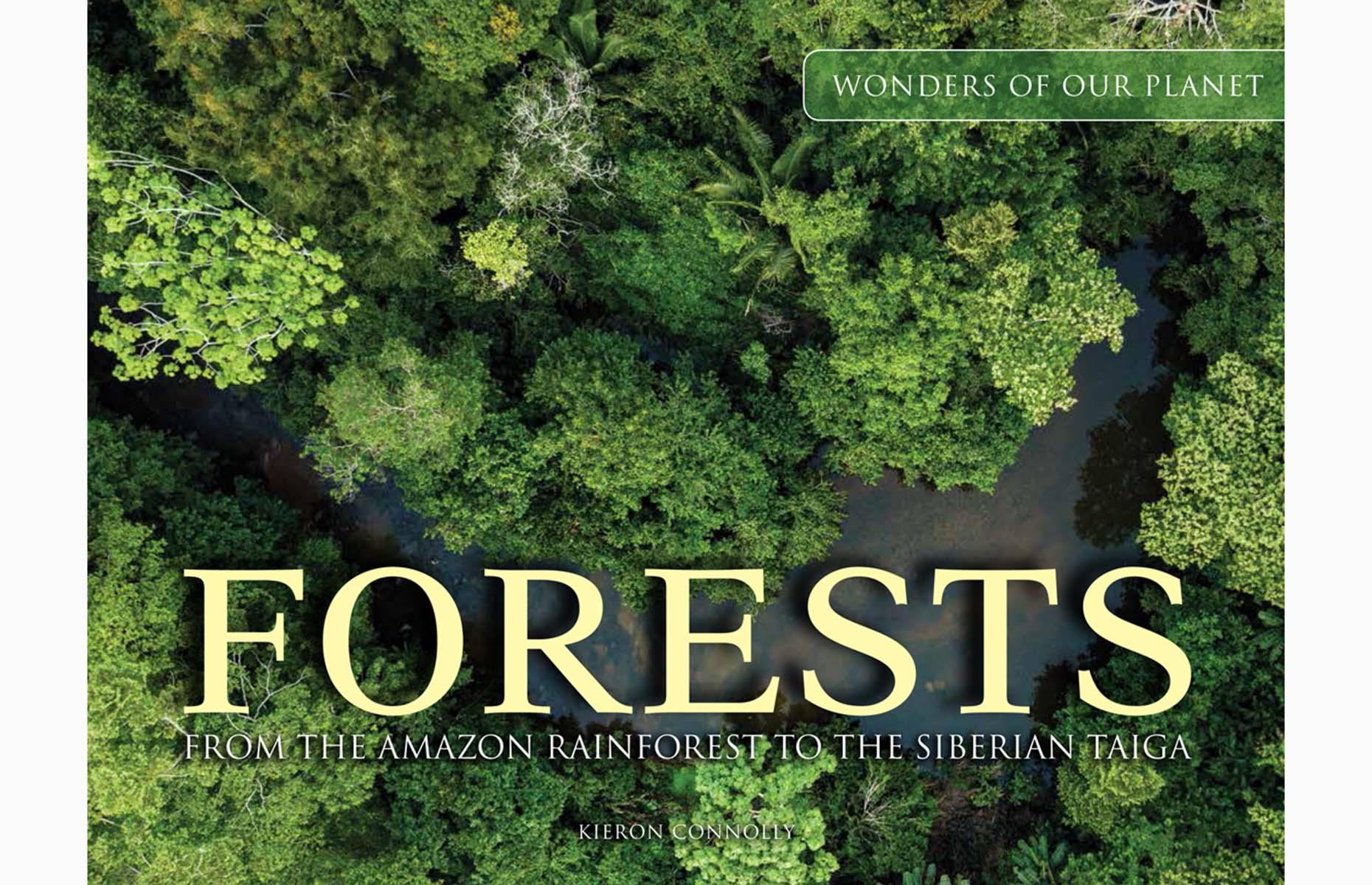 <p>All images taken from the book<em> Forests</em> by Kieron Connolly (ISBN 9781838861674) published by <a href="http://www.amberbooks.co.uk">Amber Books Ltd</a> and available from bookshops and online booksellers (RRP $29.99).</p>  <p><a href="https://www.loveexploring.com/galleries/69707/beautiful-forests-of-the-world?page=1"><strong>Discover more beautiful forests of the world</strong></a></p>