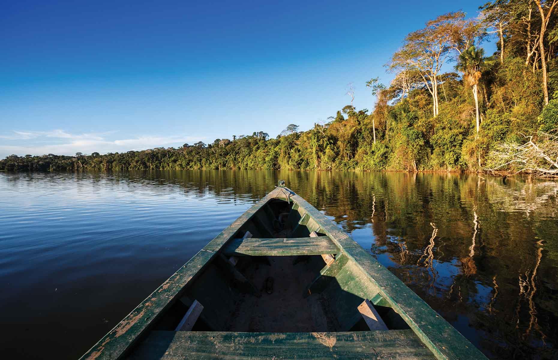<p>Encompassing 2.1 million square miles (5.5 million sq km), the Amazon rainforest contains an estimated 390 billion trees from 16,000 species. In surface area, it accounts for half of the world’s remaining rainforest. It ranges over nine countries: Brazil, Peru, Colombia, Bolivia, Ecuador, French Guiana, Guyana, Suriname and Venezuela. More than 30 million people across 350 different ethnic groups live in the Amazon. </p>