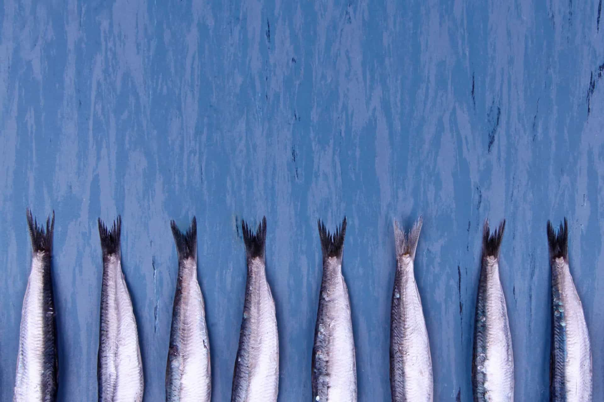 How can we eat fish sustainably?