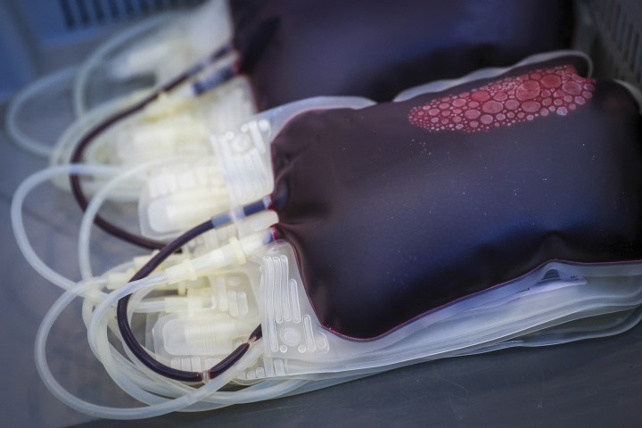 federação apela à doação de sangue para garantir resposta às necessidades