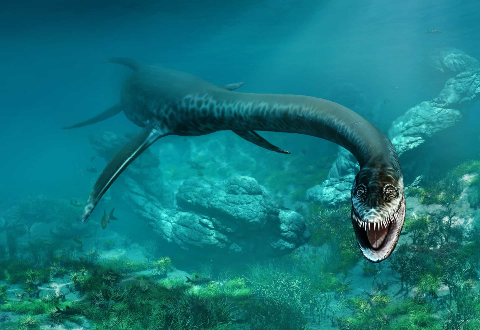 Is the Loch Ness Monster real?