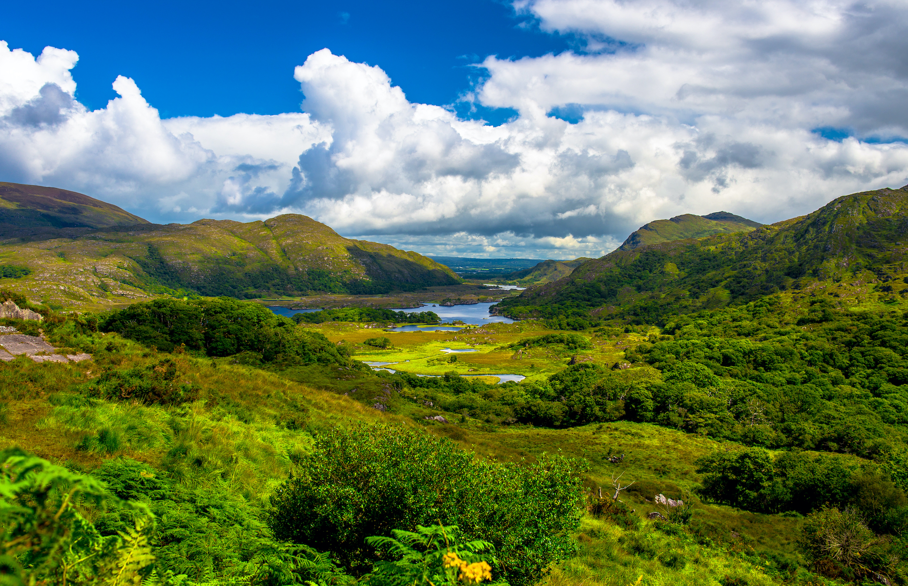 <p>Located in County Kerry, <a href="https://www.killarneynationalpark.ie/" rel="noreferrer noopener">Killarney National Park</a> is a must-see for nature lovers visiting Ireland. Covering more than 26,000 acres, this park is filled with sparkling lakes, majestic mountains, and lush forests. Numerous waterfalls also await along its extensive hiking trails.</p>