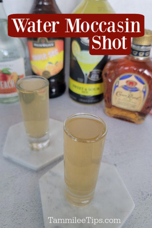 Easy Water Moccasin Shot Recipe