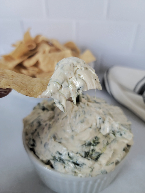 Classic Knorr Spinach Dip Recipe