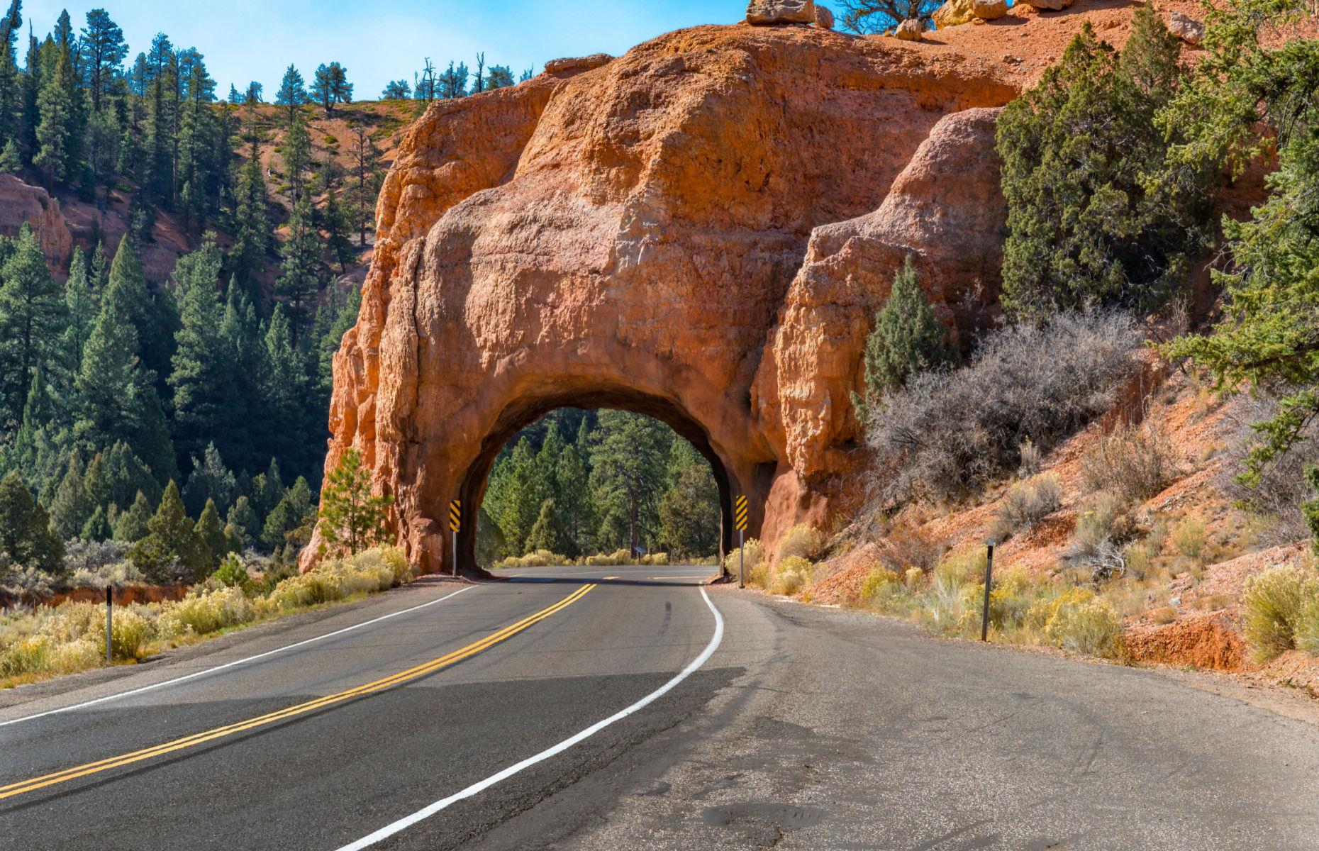 <p>With otherworldly landscapes that evoke any number of sci-fi films or perhaps the planet Mars, <a href="https://www.visitutah.com/articles/the-all-american-road-scenic-byway-12">Scenic Byway 12</a> crams in much of what Utah is famous for: rust-red rocks, arches, hoodoos and slot canyons. There’s a lot to explore, whether kids are interested in learning about the fascinating geology or just want to skip through wavy rock structures and enjoy incredible places like the fossil-filled Escalante Petrified Forest.</p>  <p><a href="https://www.loveexploring.com/gallerylist/100304/40-places-you-wont-believe-are-on-earth"><strong>You won't believe these 40 places are on Earth</strong></a></p>