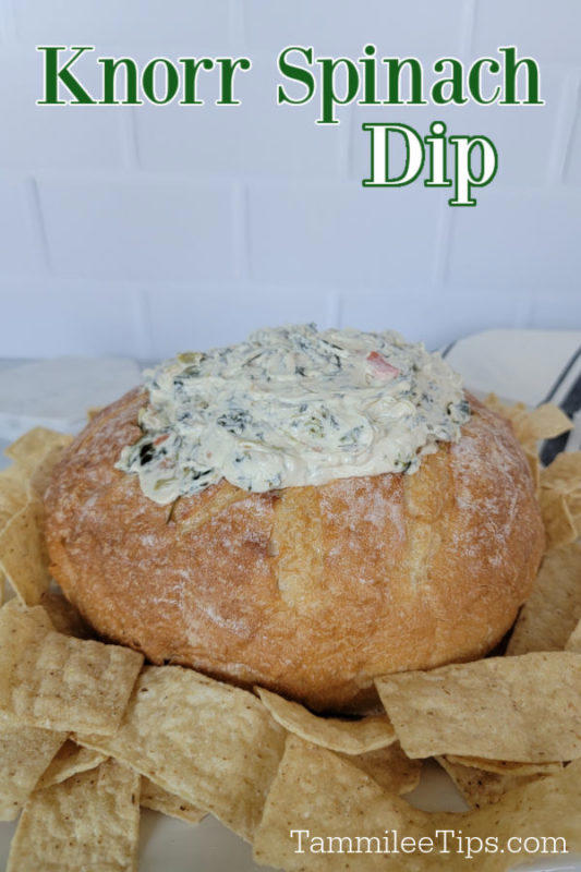 Knorr Spinach Dip