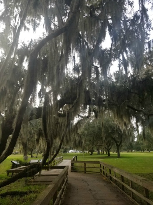 Amazing National Parks near Atlanta,