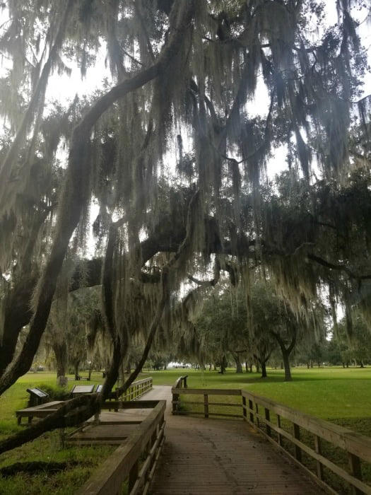 Amazing National Parks near Atlanta,