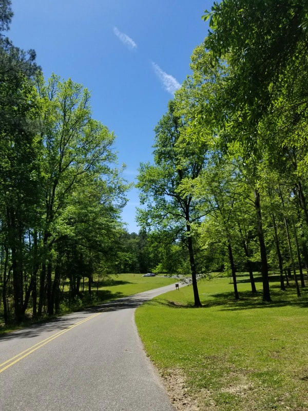 Amazing National Parks near Atlanta,