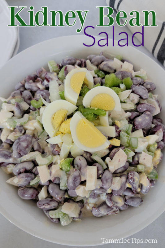 Quick and Easy Kidney Bean Salad
