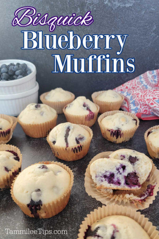 Super easy Bisquick Blueberry Muffins Recipe!