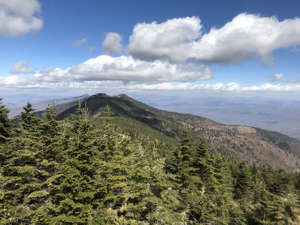 View from Mt. Mitchell