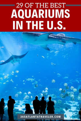 29 BEST AQUARIUMS IN THE U.S. YOU HAVE TO VISIT