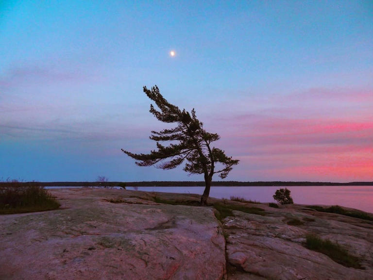 Fabulous hidden gems for Great Lakes camping [2026 edition]