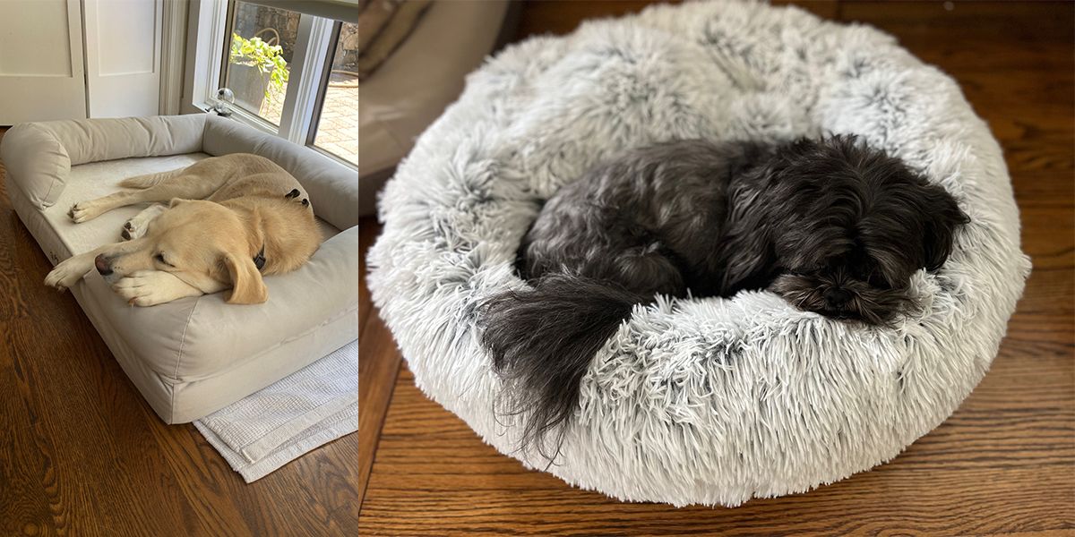 9 Best Dog Beds for Every Four-Legged Family Member, from Puppies to ...