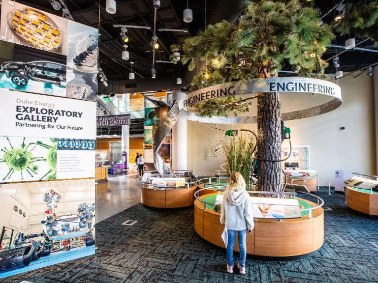 12 Fantastic Museums in Raleigh (most of them FREE)