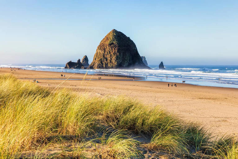 The Perfect 5-Day Road Trip on Oregon Coast Highway 101