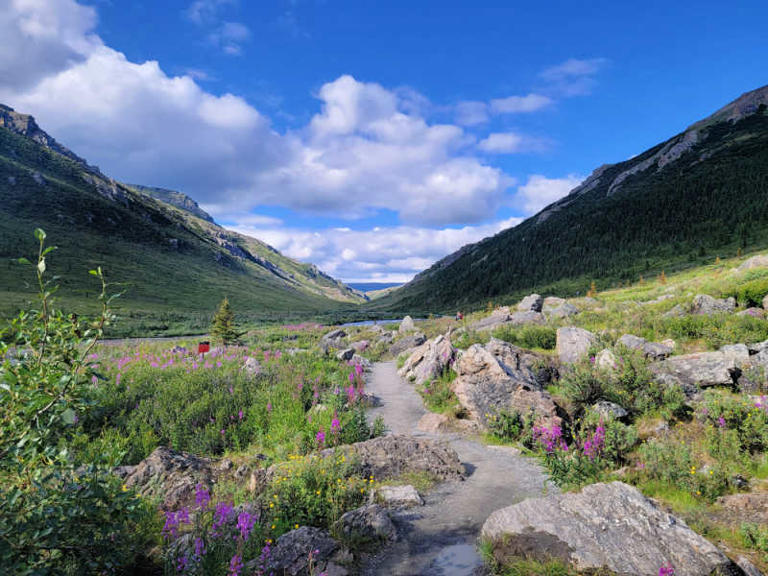 3 Alaska National Parks Trip Report - Denali, Kenai Fjords, and Glacier Bay