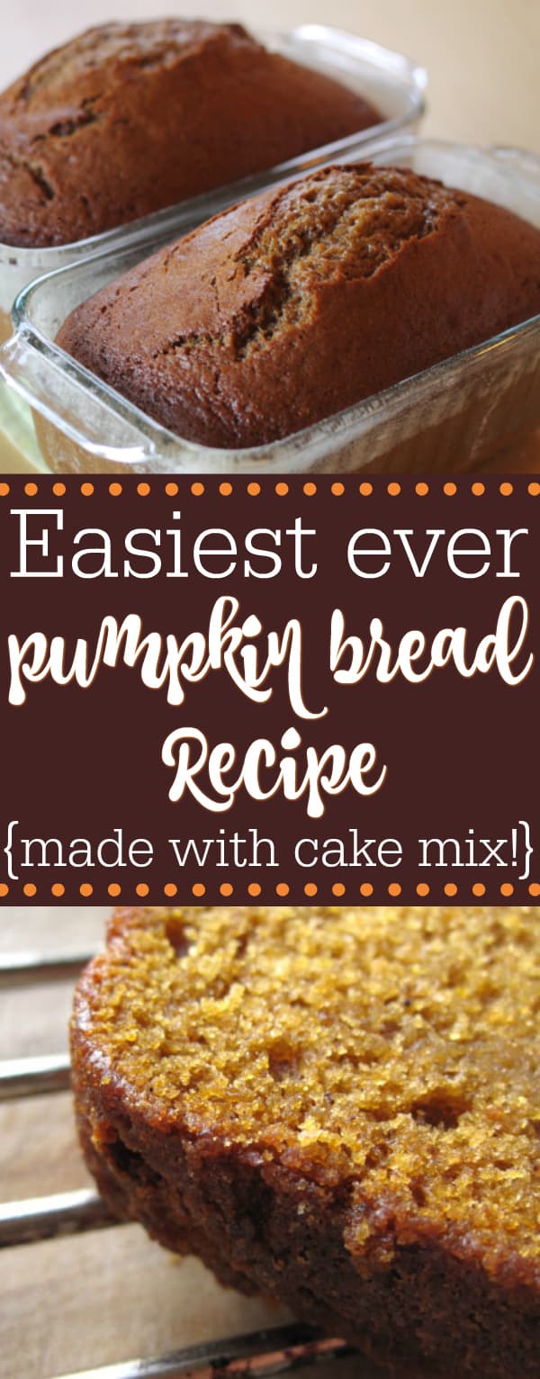 Easy Pumpkin Bread Recipe With Cake Mix   AA116CuD.img